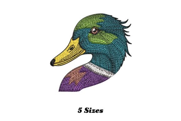 Mallard Duck Head: A Designer’s Review for Branding